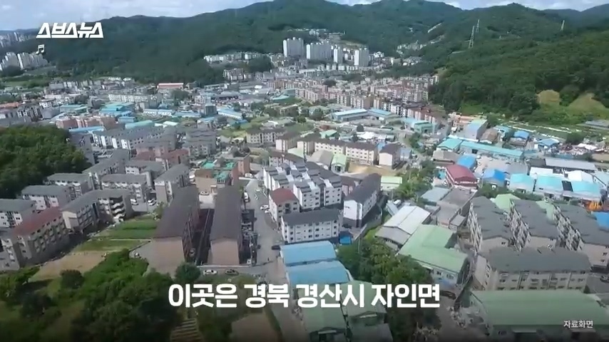 50년간 키워온 나무를 누군가 몰래 잘라버림