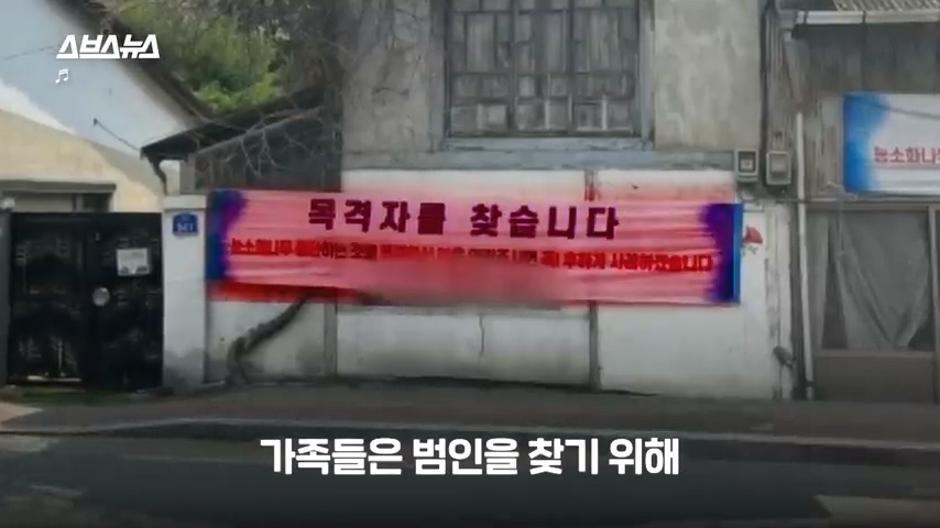 50년간 키워온 나무를 누군가 몰래 잘라버림