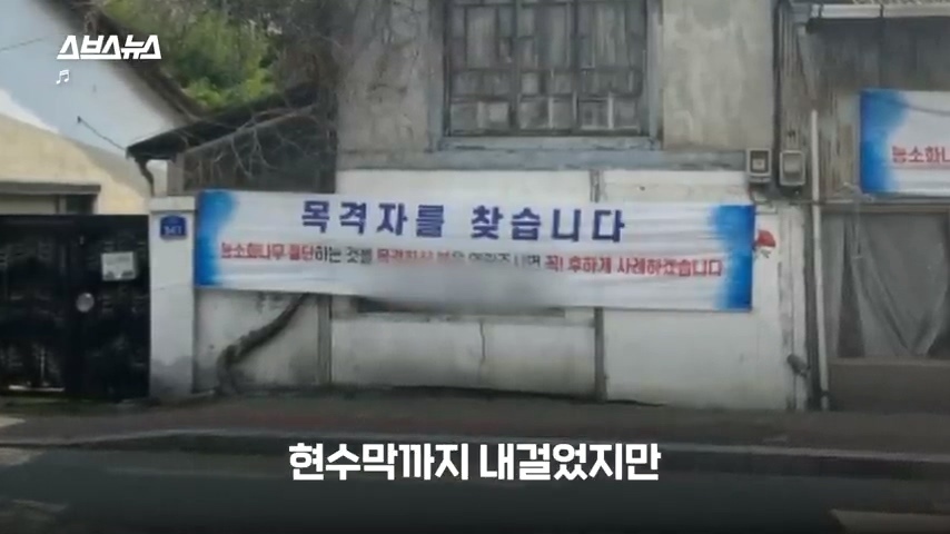 50년간 키워온 나무를 누군가 몰래 잘라버림