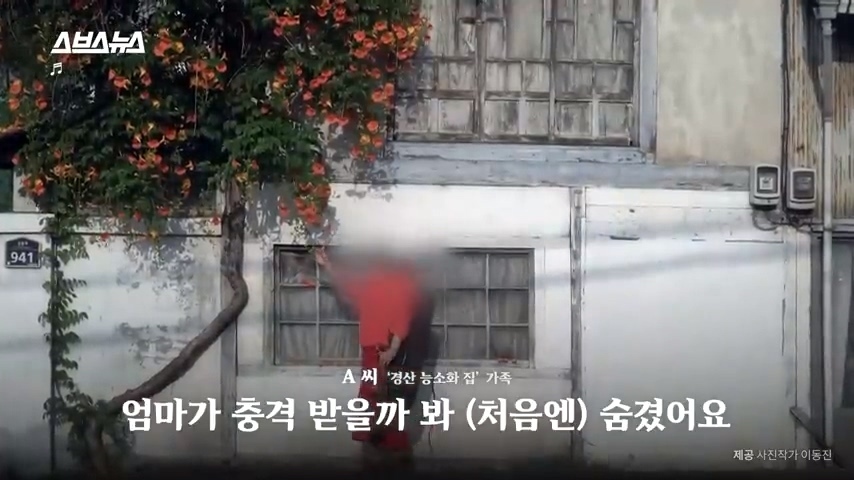 50년간 키워온 나무를 누군가 몰래 잘라버림