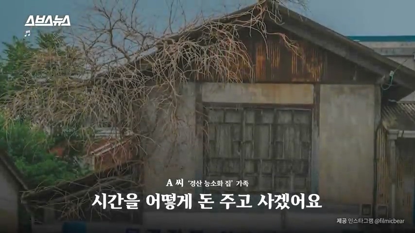 50년간 키워온 나무를 누군가 몰래 잘라버림