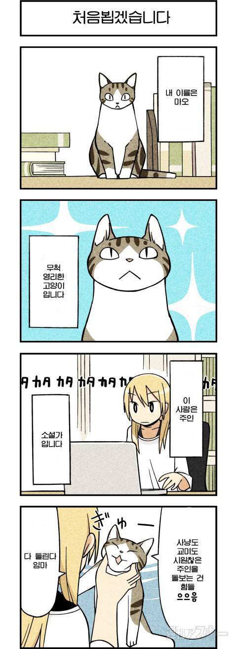 고양이가 말하는 만화.
