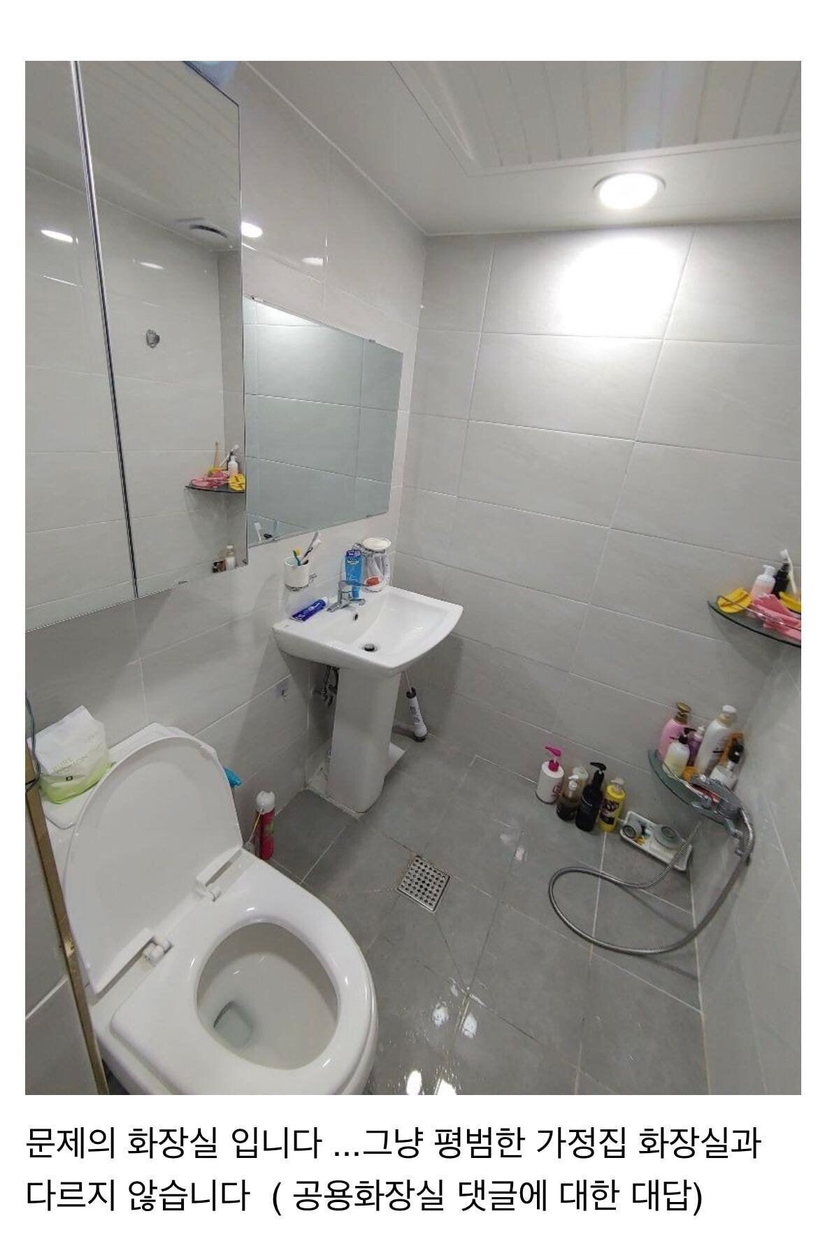 トイレに無断侵入したカーニバル家族が使用したトイレの写真と構造