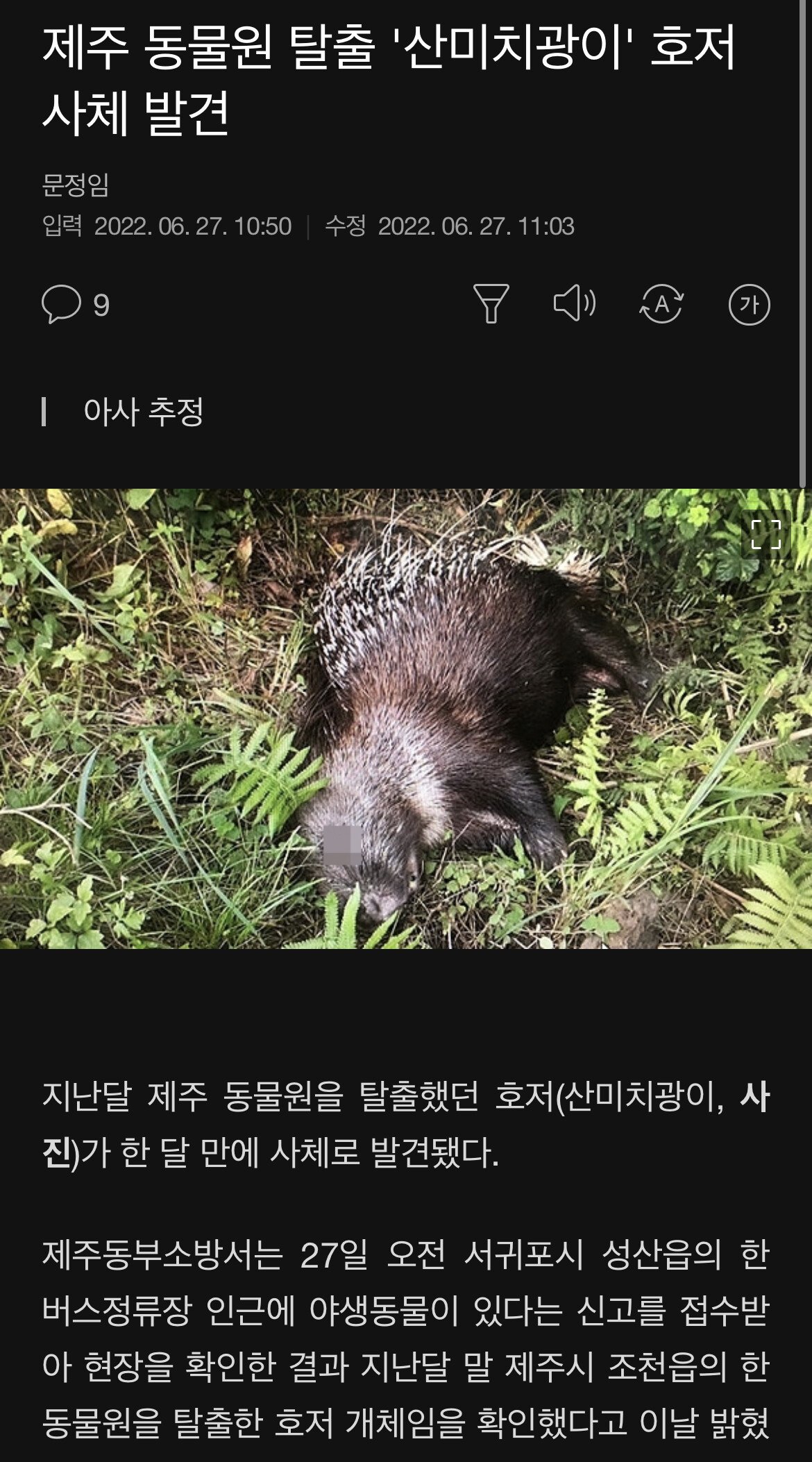 제주 동물원 탈출 ''산미치광이'' 호저 ...