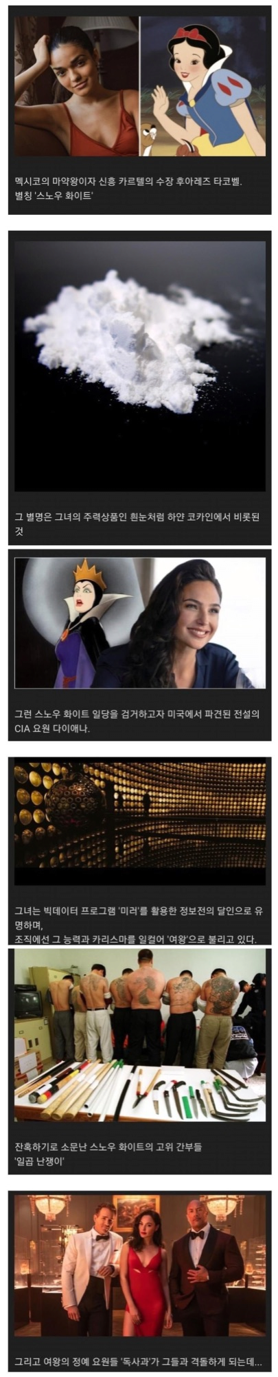 백설공주 실사화 흥하는법