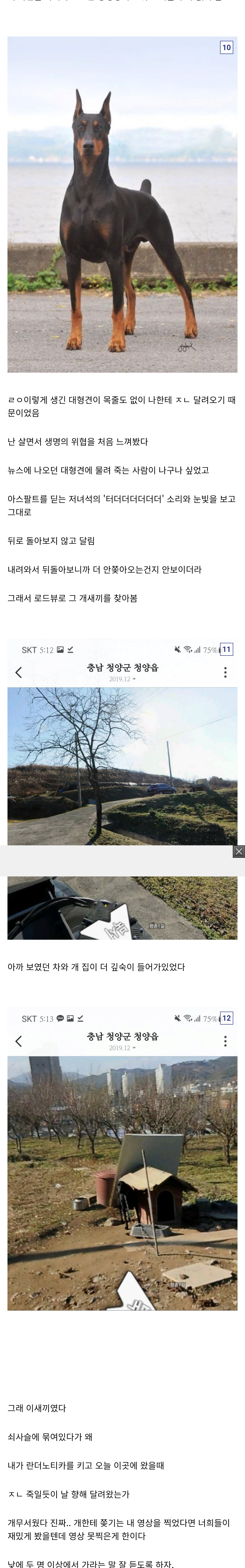 [스압] 디씨인의 란더노티카 어플 후기