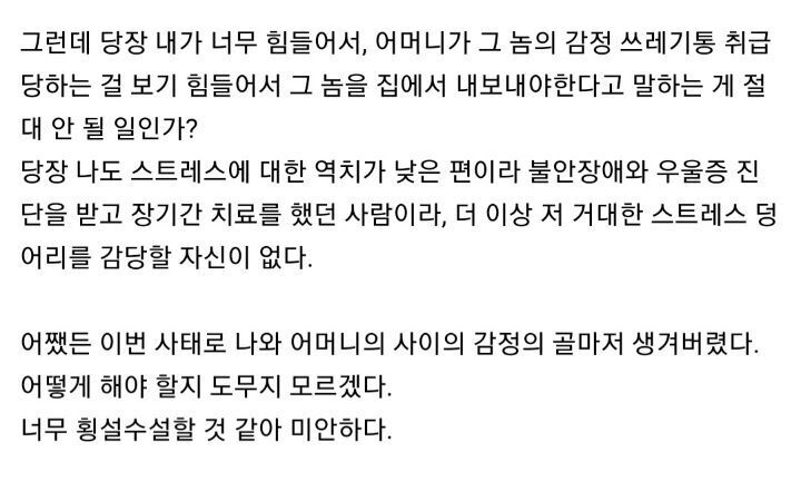 경계선 지능장애를 가족으로 둔 사람의 고민