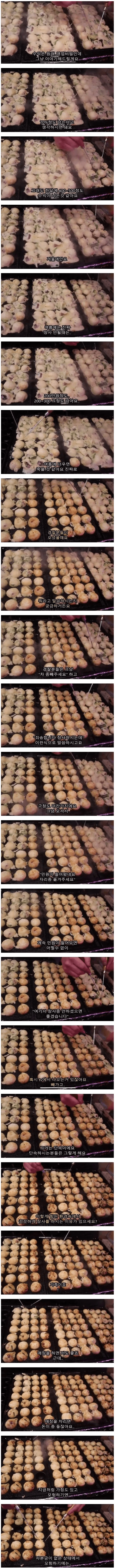 たこ焼きトラック一ヶ月輸入JPG