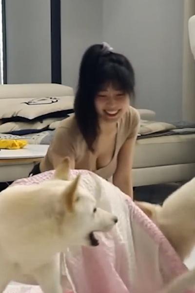 The hostess who plays with Jindo dogs