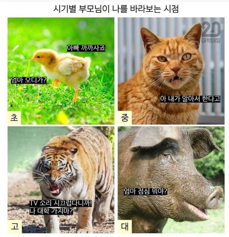 나이별 부모님이 보는 내 모습