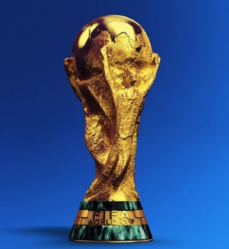 피파 월드컵 트로피 코스프레 해봤다.