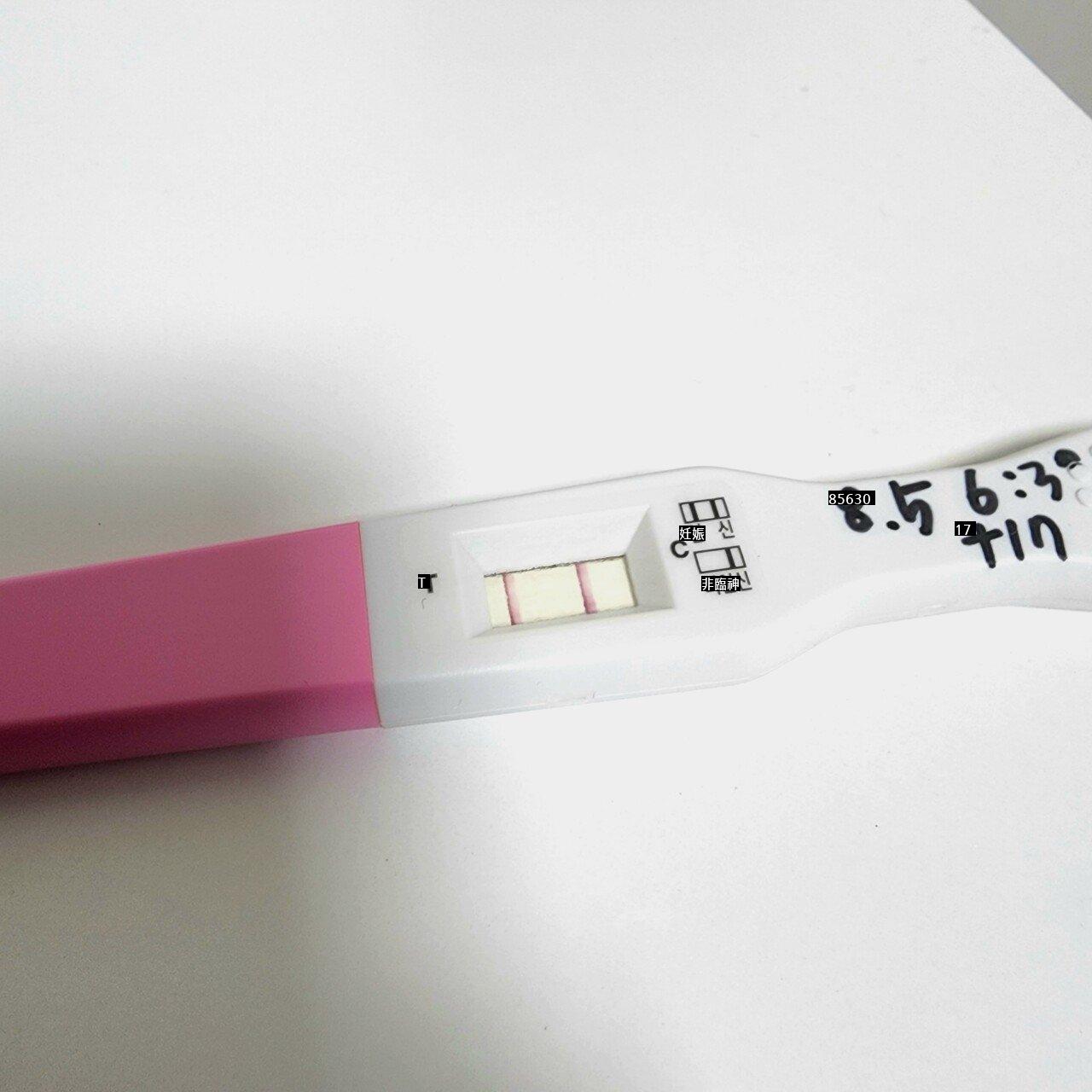 愛国者たちの大騒ぎ