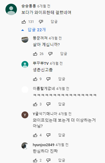 룩북 유튜브채널 댓글
