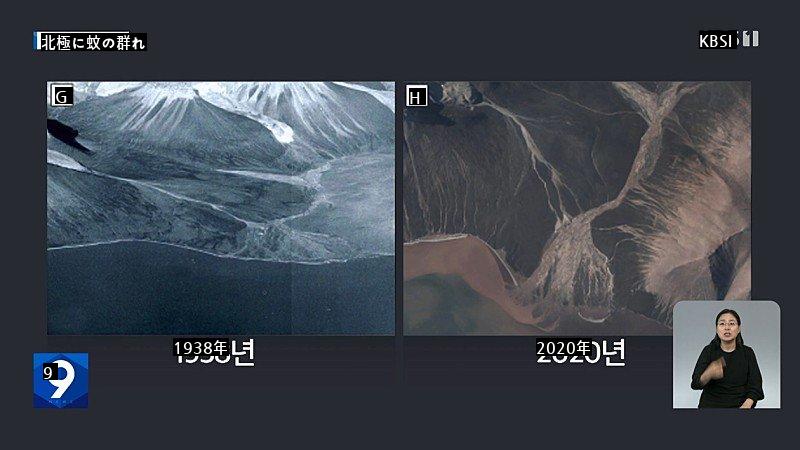 何か狭そうな北極の近況jpg