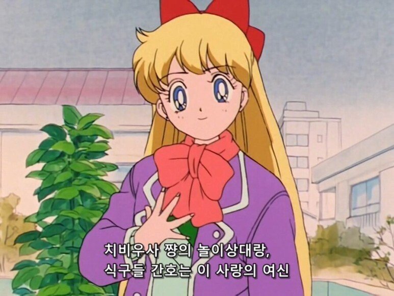 A common misconception about Sailor Moon.jpg