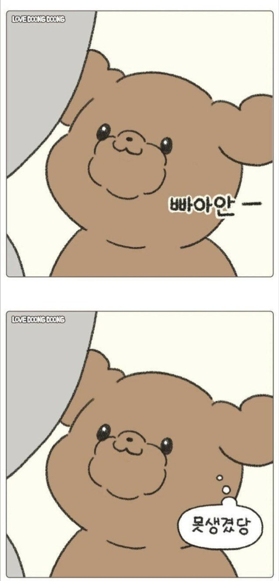 반려동물이 당신을 볼때 하는 생각