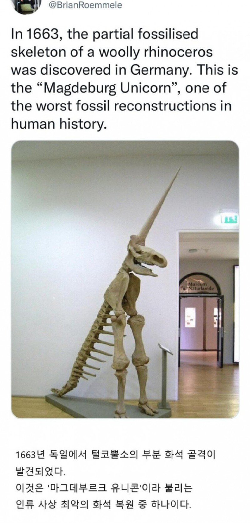 the worst fossil restoration in human history.jpg