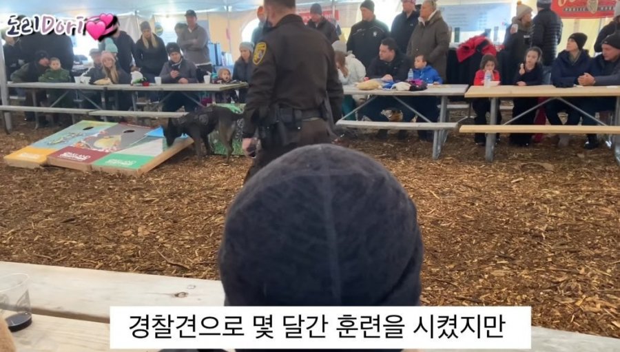진돗개가 경찰견으로 거부된 이유.jpg