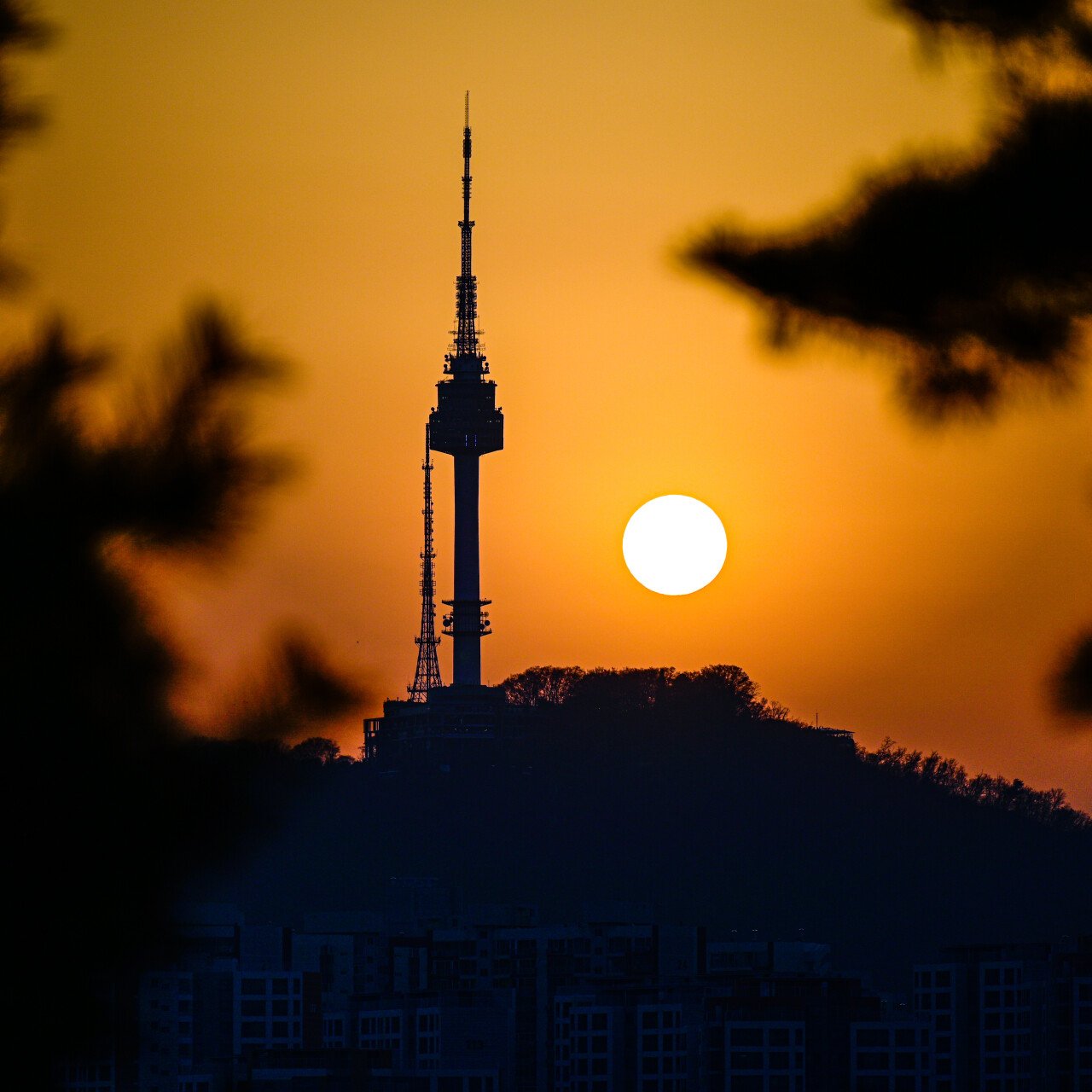 서울 살면서 찍은 사진들 모음