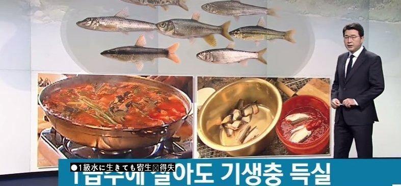 1級水淡水魚属の寄生虫がうようよjpg