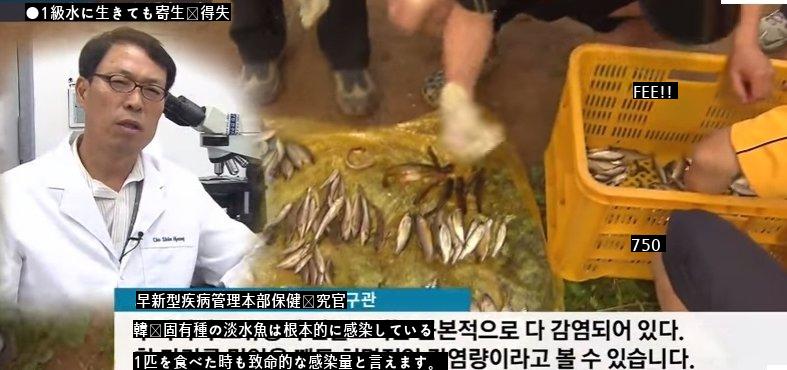 1級水淡水魚属の寄生虫がうようよjpg