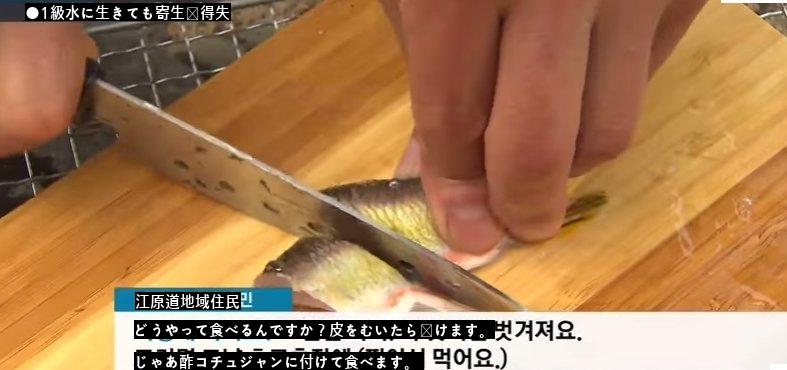 1級水淡水魚属の寄生虫がうようよjpg