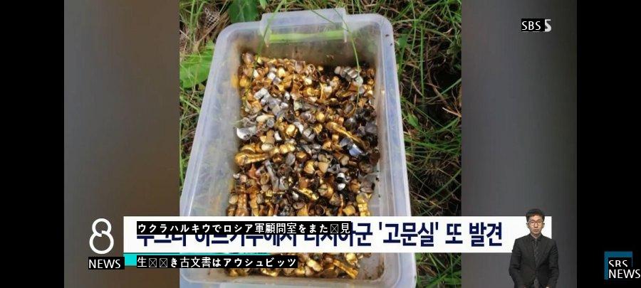 ロシアの顧問室で発見した金泥