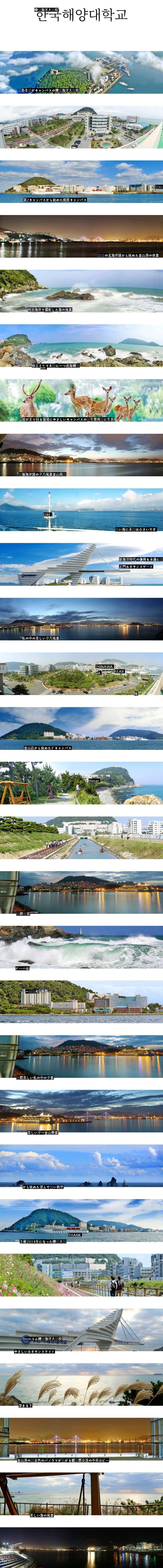 島全体がキャンパスである韓国の大学jpg