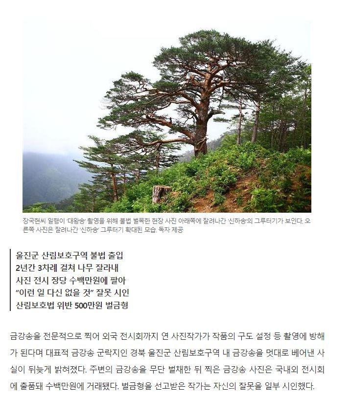 알고보면 추악한 사진 레전드