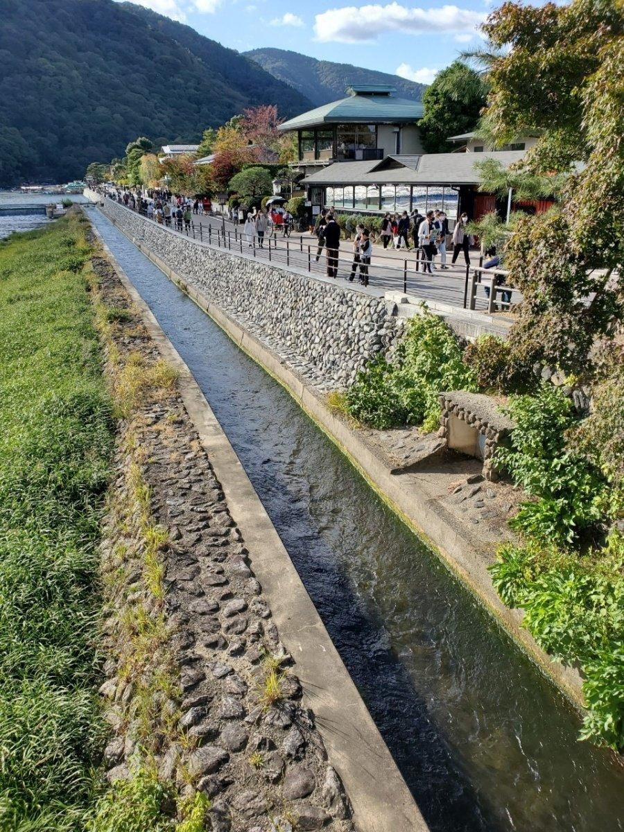 日本人の彼女に会いに日本に行ってきました。おやじ顔主義