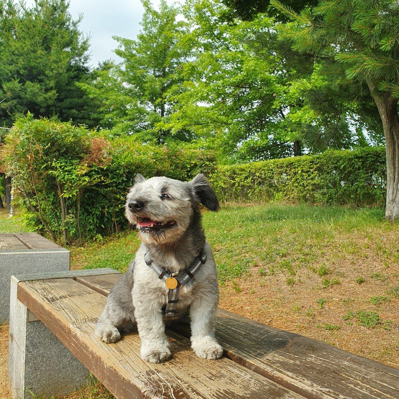 夜明けだからうちのうんちを見て行け