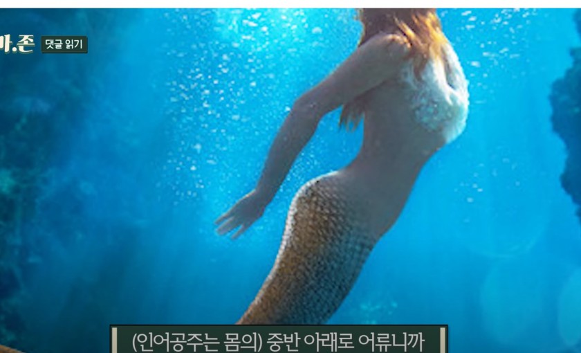 서울대교수피셜 인어공주는 물고기