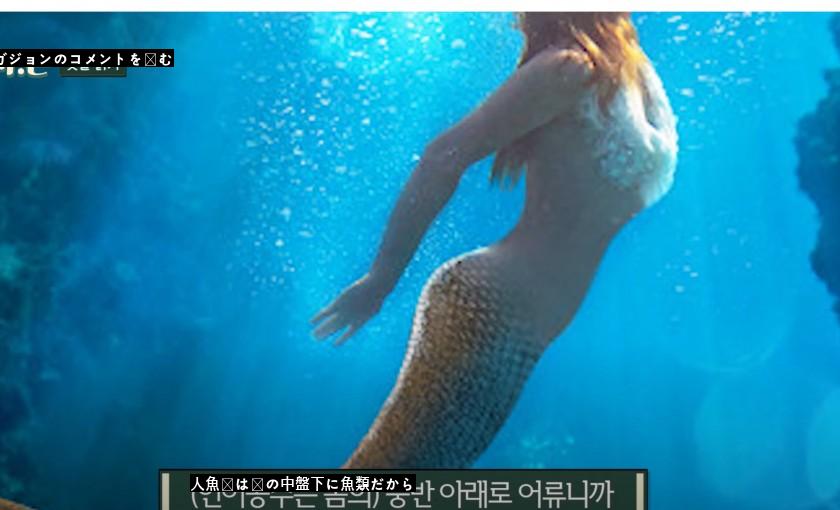 ソウル大学教授フィシャル「人魚姫」は魚