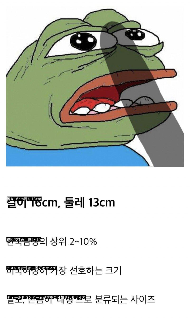 韓国男性対物基準と平均サイズ