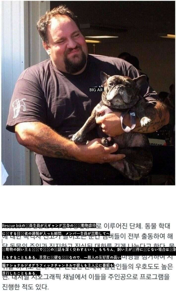 特異点が来た動物保護団体jpg