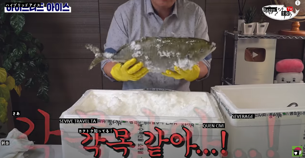 活魚を急速冷凍後に水に戻したらどうなるか