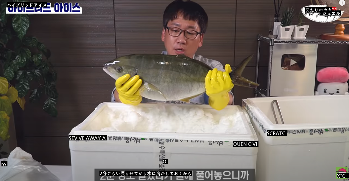 活魚を急速冷凍後に水に戻したらどうなるか