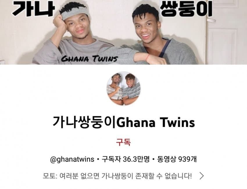 가나 응원했다고 욕먹고있는 쌍둥이 유튜버..jpg