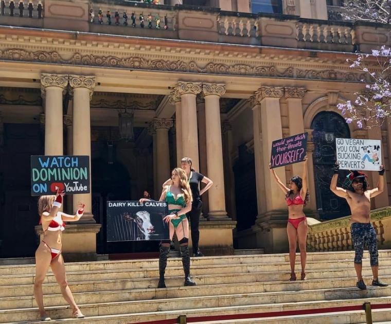 [약후] 호주 동물보호단체 우유반대 시위 ㅋㅋㅋㅋ