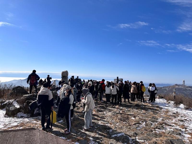 山で出会った兄弟たち、新天地