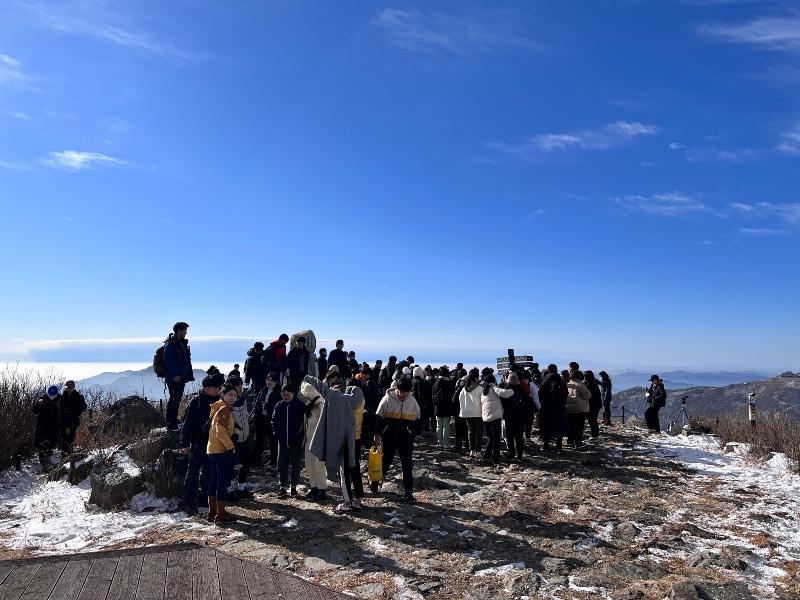 山で出会った兄弟たち、新天地