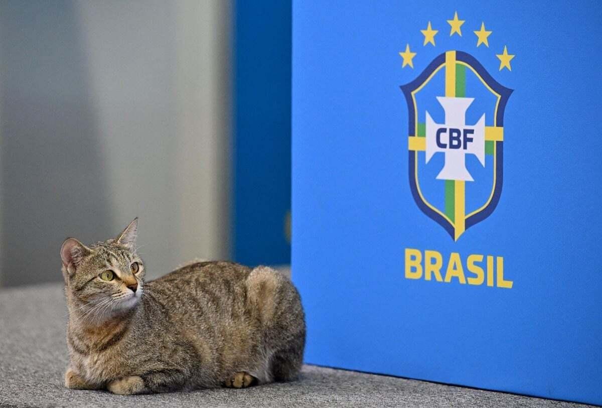 ブラジル準々決勝の記者会見で意見が分かれているときに起こったこと