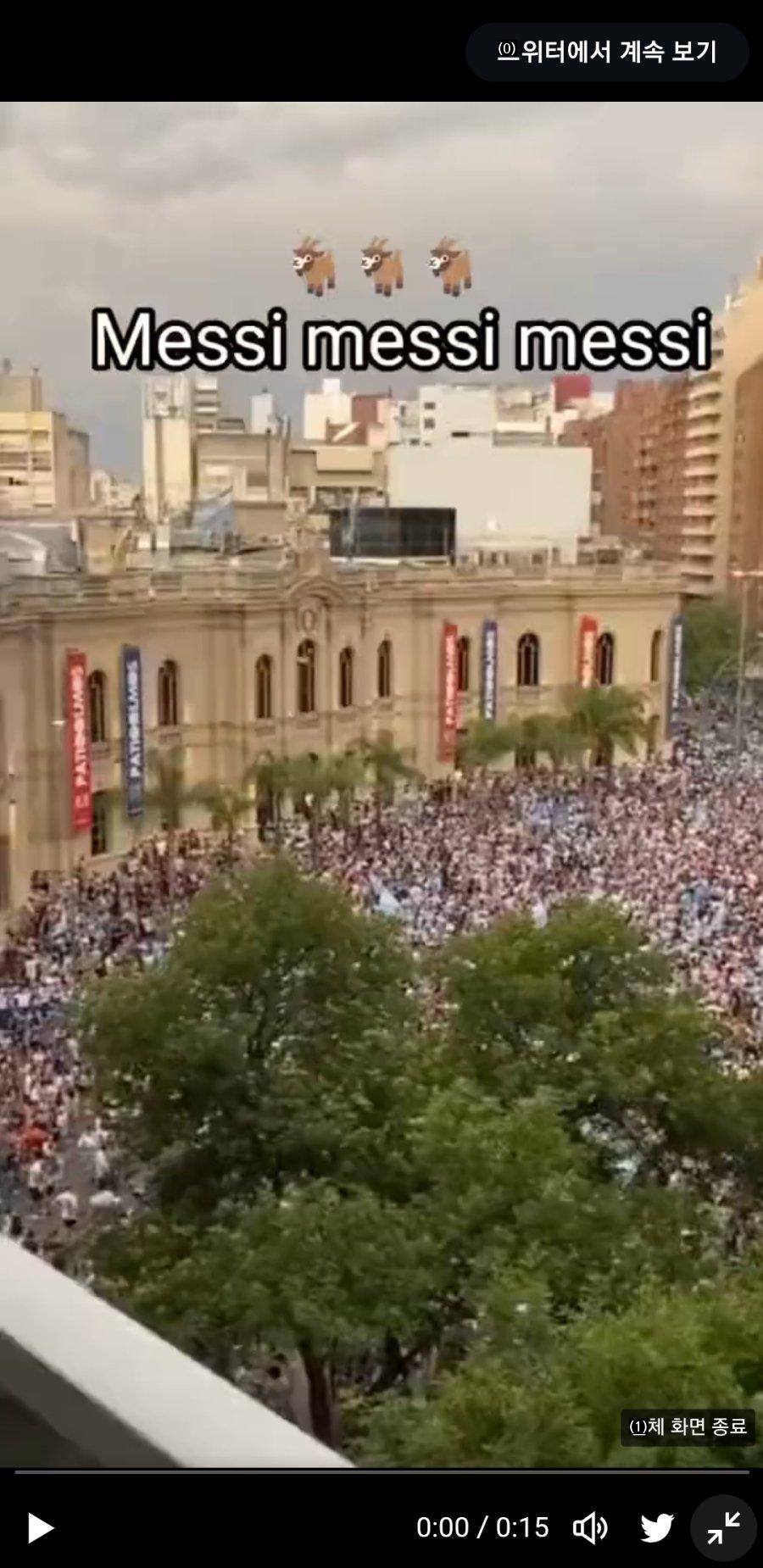 アルゼンチン現地の街頭応援の様子jpg