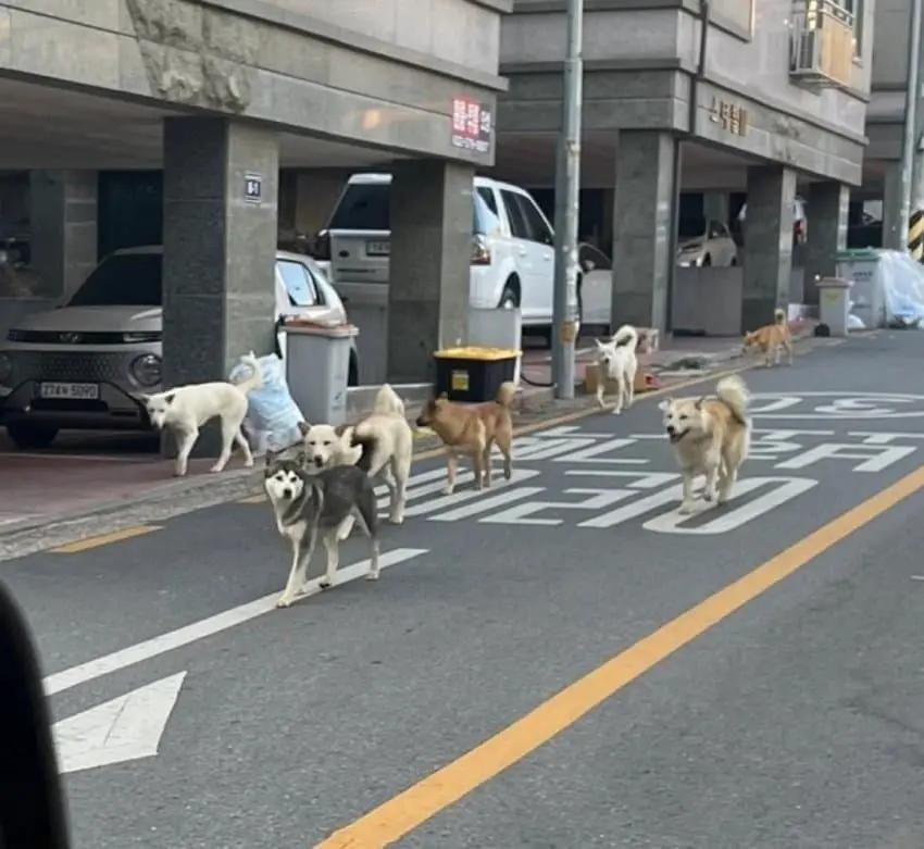 近ごろの街頭状況