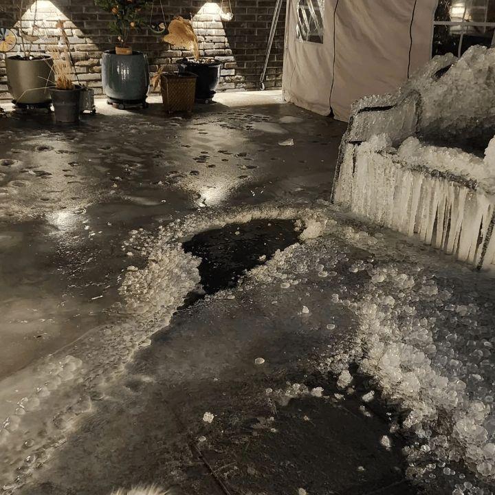 東播肉の大家の近況