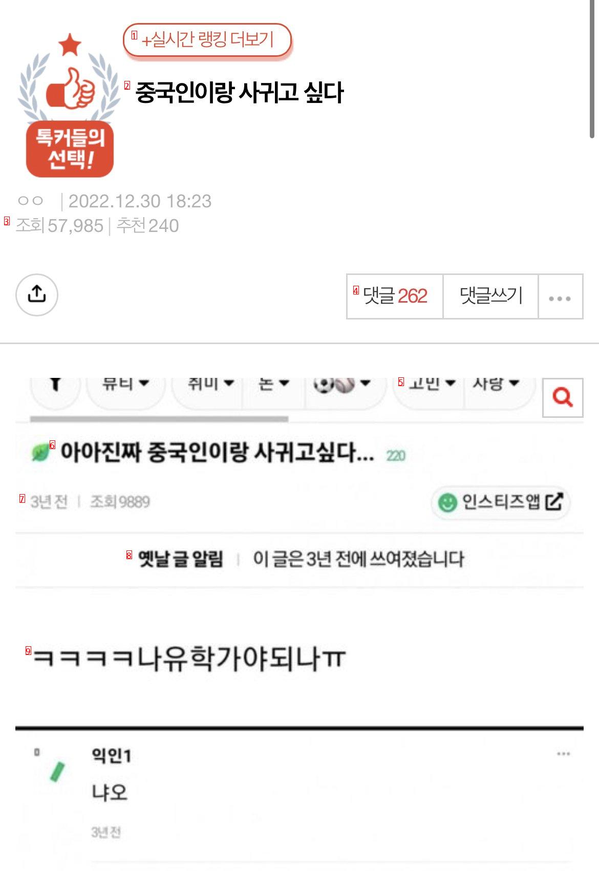 ”중국인이랑 사귀고 싶다“ 네이트판 반응 – 촬스의 이슈와 유머