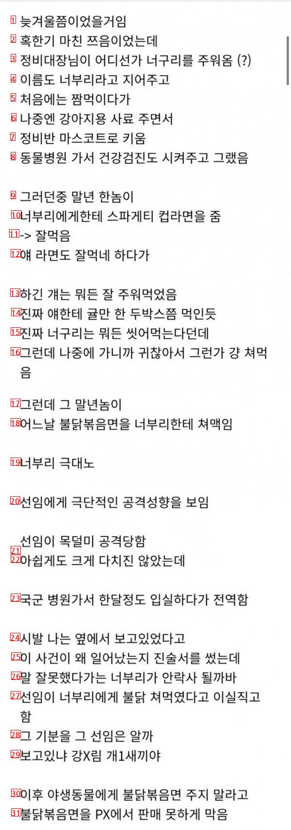 의외로 너구리한테 주면 안되는것