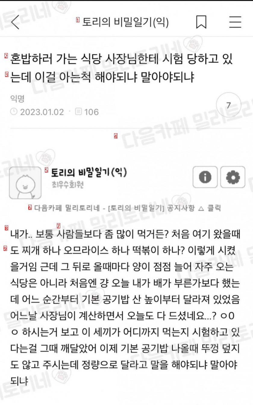 식당 사장님에게 시험당하고 있는 혼밥러