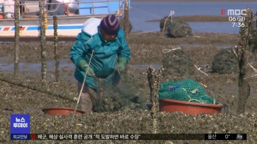 韓国が祝福された食材 甲jpg