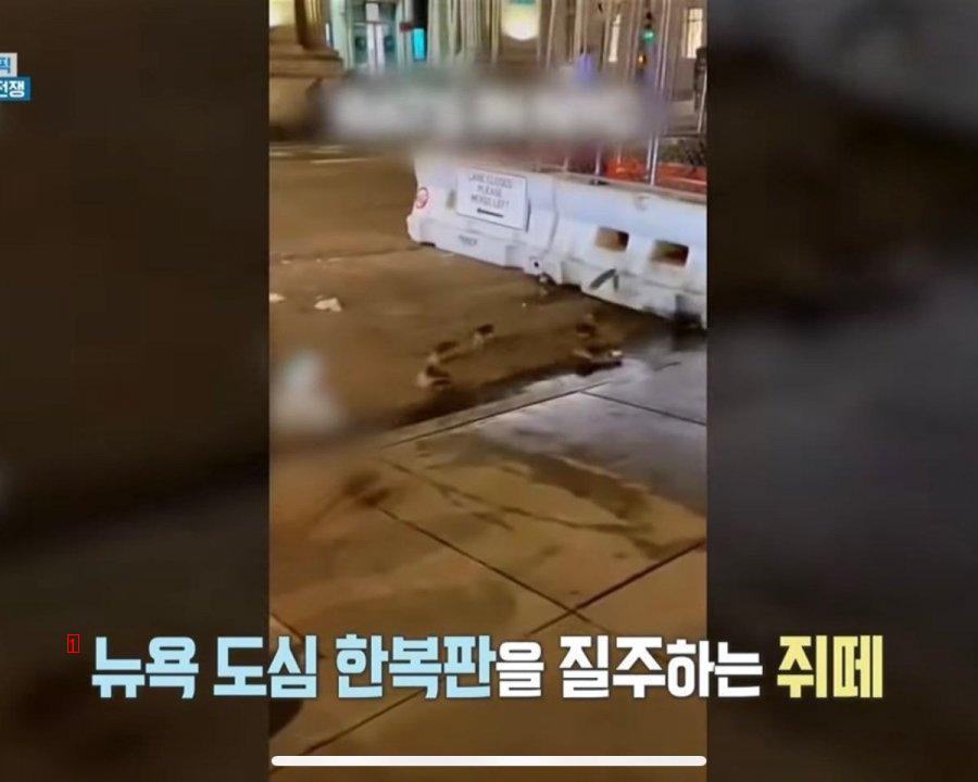 연봉 2억 개꿀 직업.jpg